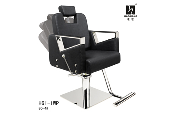 H61-1WP